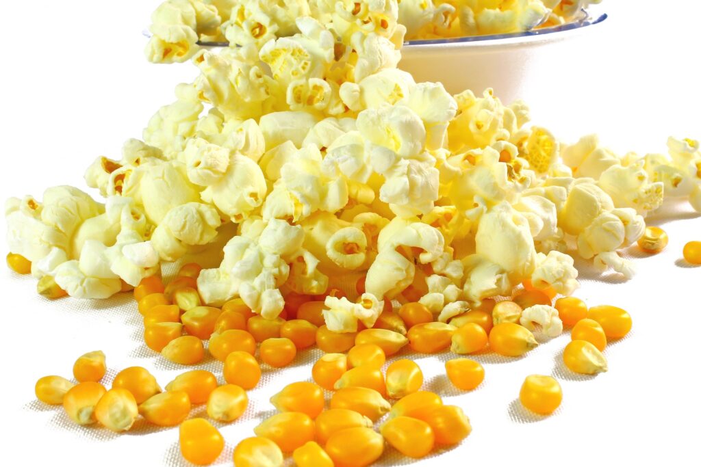 Popcorn Business